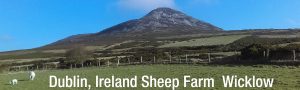 hostorical wicklow ireland sheep farm