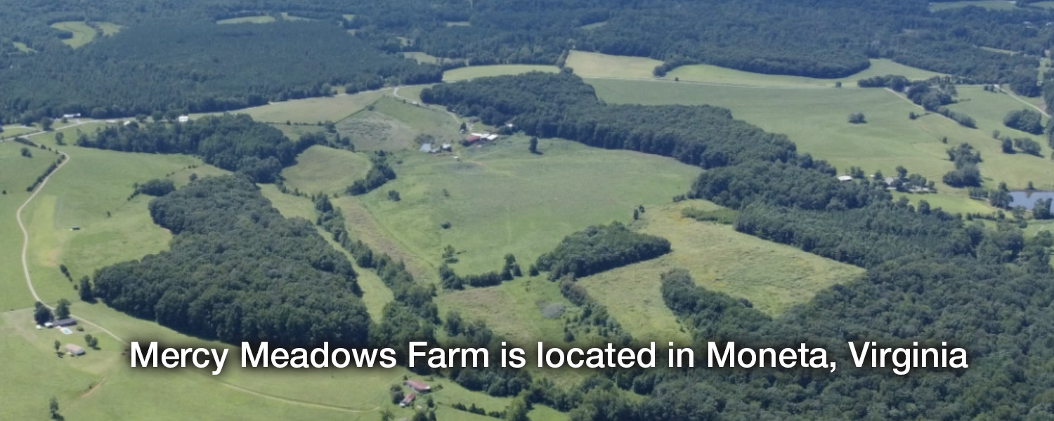 Mercy Meadow Farms - Virginia Homes on 100 acre pasture